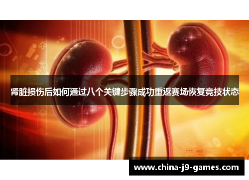 肾脏损伤后如何通过八个关键步骤成功重返赛场恢复竞技状态 肾脏损伤后如何通过八个关键步骤成功重返赛场恢复竞技状态