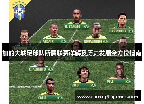 加的夫城足球队所属联赛详解及历史发展全方位指南
